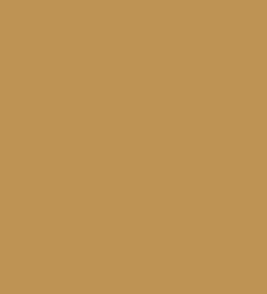 vid-gold1